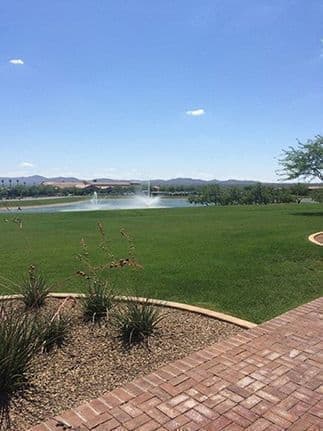 Selling New Homes in Saddlebrooke Ranch