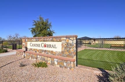 Saddlebrooke Ranch Dog Park