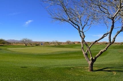 The Saddlebrooke Ranch Golf Course